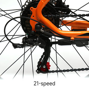 Bicicleta Eléctrica de Montaña Económica de 26 Pulgadas, 21 Velocidades, Suspensión Completa, Motor de 36V/250W, E Forward SR X9, Juego de Cambios de 21 Velocidades - Product Image 5