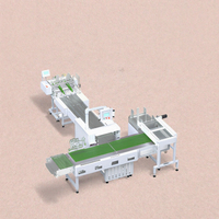 Machine d'emballage électrique numérique à découpe et scellage avec moteur et pompe pour patchs de plâtre, préservatifs et onguents analgésiques