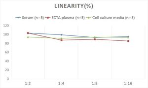 Bmpr2 אנושי (קולטן חלבון מורפוגנטי 2) ערכת אליסה - Product Image 3