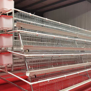 Jaula <span class=keywords><strong>de</strong></span> batería tipo A galvanizada para <span class=keywords><strong>gallinas</strong></span> ponedoras, equipo comercial para granjas avícolas, en oferta. - Product Image 1