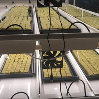 Système de culture hydroponique de fourrage d'orge G&N Fodder Container, système de germination, plateaux en UPVC
