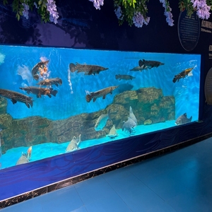 Grande acquario acquario quadrato 50mm 80mm in plastica acquario acquario acquario a parete - Product Image 5