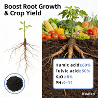 Fertilizante Orgánico Soluble en Agua en Polvo con Ácido Húmico y Humato de Potasio 99% de Pureza de Liberación Rápida para un Mejor Crecimiento de Cultivos
