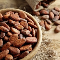 Granos de Cacao Forastero de Bali, Indonesia, Crudos y Secos, para Uso Profesional y Doméstico, que Proporcionan un Chocolate Cremoso y Suave con Notas Profundas y Ricas