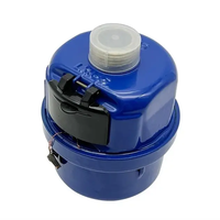 DN15 China Brass Body Volumetric Rotary Piston Liquid Sealed Water Meter
