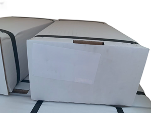 Controlador PLC, Sensor, Actuador Industrial, Nuevo y Original, F12-030-MF-IV-K-000-00 - Product Image 1