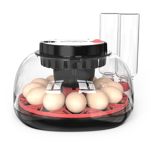 Incubadora de Huevos Inteligente con Volteo Automático, Probador LED, Pantalla Digital de Humedad <span class=keywords><strong>para</strong></span> Huevos de Aves, Gansos y Patos - Product Image 5