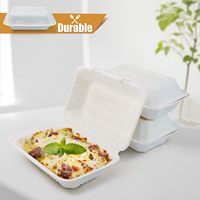 Boîte à lunch jetable compostable personnalisée, vaisselle biodégradable en bagasse de canne à sucre, contenant alimentaire à clapet