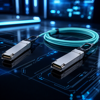 Cable Óptico Activo QSFP-100G-AOC5M QSFP-100G-AOC20M= 100G QSFP28 de 5/10m AOC para Interconexión de Servidores en Centros de Datos