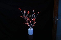 Lampe de table LED colorée à changement de couleur pour les fêtes, mariages, cadeaux de Noël, décoration de chambre d'hôtel, veilleuse