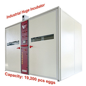 YFDF-192 kích thước lớn công suất lớn CE chứng nhận tự động trứng lồng ấp 19200 trứng AC/DC Máy Ấp Trứng gia cầm trang trại sử dụng vịt - Product Image 1