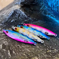 OEM CHAUDE 40g 60g 3D Leurre de pêche au bar en tungstène Off Shore Long Cast Tungsten Jigs Leurre