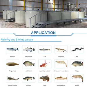 Industri peternakan ikan Tilapia pembiakan ikan/peralatan pembiakan ikan tilapia/Florida pertanian ikan tropis