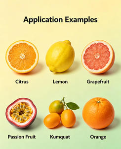 Extractor Industrial de Jugo de Albaricoque, <span class=keywords><strong>Aguacate</strong></span>, Cactus, Guanábana, Tomate, Naranja y Morera - Product Image 2
