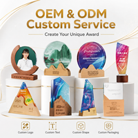 Placa de Premio de Cristal Personalizada, Forma Personalizada, Logotipo Impreso, Base de Madera, Trofeo