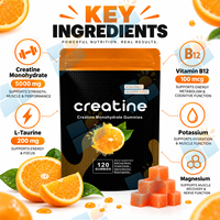 Gummies de créatine monohydrate OEM 5000mg saveur orange 120 unités Nutrition sportive Fabricant de compléments sous marque privée Vente en gros