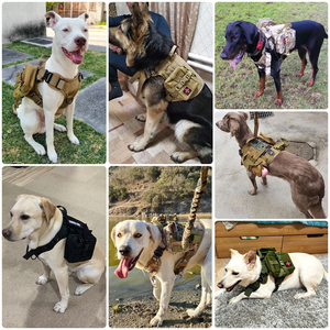 Arnés grande para perros, conjunto de correa para <span class=keywords><strong>collar</strong></span>, arneses para perros, chaleco táctico para mascotas, entrenamiento para perros medianos y grandes - Product Image 5