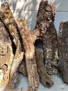 Racine d'arbre artificielle en liège naturel pour terrarium de reptiles, simulation de racine d'arbre, aquascape pour animaux de compagnie, lézard, araignée, scorpion, caméléon - Product Image 3