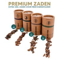 Kit pemula Bonsai yang dapat disesuaikan grosir dengan instruksi rinci untuk Set pohon Bonsai tanaman Taman dan Rumah