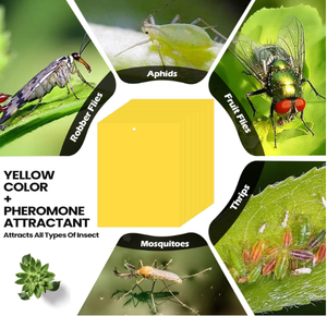 กับดักเหนียวสำหรับพืชสองด้านกับดักเหนียวสำหรับตัวริ้นที่มีความสัมพันธ์แบบบิดกับดักแมลงวันแมลงผลไม้แมลงเชื้อราในร่มกลางแจ้ง - Product Image 6