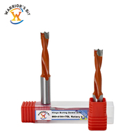 Jeu de forets à fraiser de précision Warrior's Bit de 10 mm pour le travail du bois CNC, personnalisable OEM