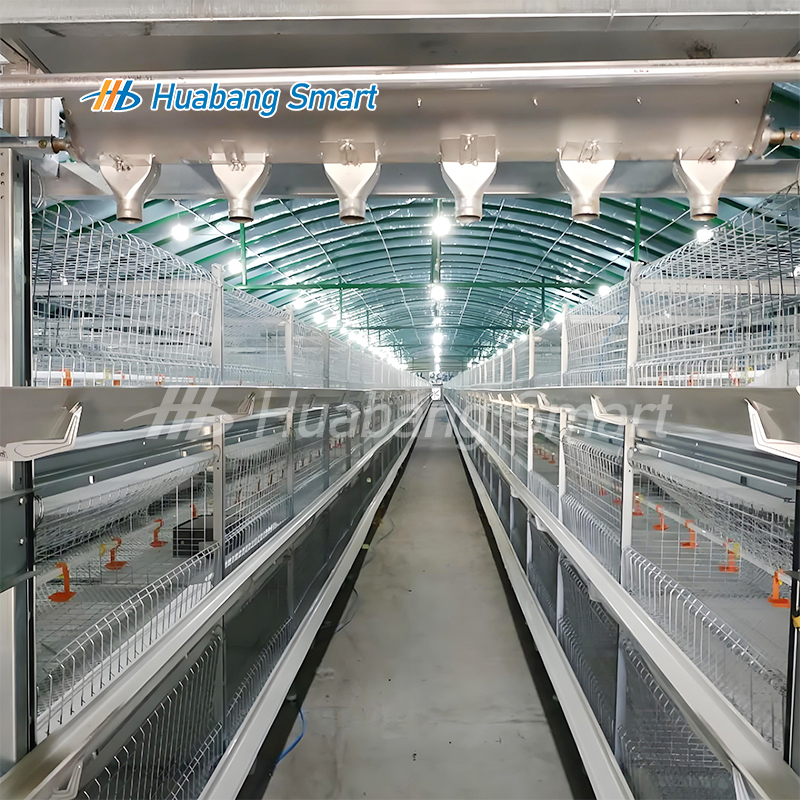 chicken broiler farming machines