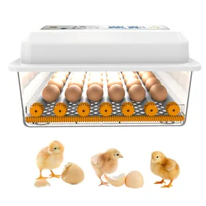 Incubadora automática de huevos de pato y Ganso, máquina de incubar huevos totalmente automática, bajo precio, en paquistaní