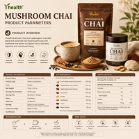 Chai aux champignons avec 6 champignons adaptogènes pour une meilleure énergie, concentration, digestion, immunité : Crinière de lion, Queue de dinde, Shiitake, Reishi