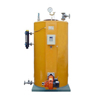 Ketel Uap Berbahan Bakar LPG 0.1 0.2 0.5 1 2 Ton Per Jam Industri Efisiensi Tinggi Vertikal Horizontal untuk Sauna Laundry