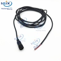 Connecteur mâle-femelle en cuivre PVC étanche DC personnalisé HSJX, cordon d'alimentation pour lampe LED extérieure, 1 m, 220 V, connexion par prise