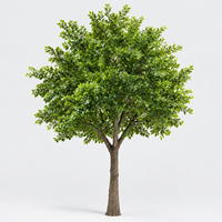 Grand arbre artificiel en ficus de 4,6 m avec un tronc réaliste |   Végétation résistante aux UV pour la décoration commerciale et intérieure de luxe