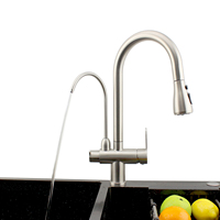 304 SS 3 voies mélangeur de cuisine à retirer robinet de filtre à eau potable avec robinet de purification d'eau