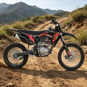 <span class=keywords><strong>Moto</strong></span> tout-terrain adulte YX250CC <span class=keywords><strong>en</strong></span> promotion, moteur monocylindre vertical 4 temps refroidi par air, démarrage électrique et manuel - Product Image 5