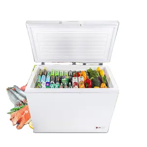 Mini Dupla Temperatura Household Food Chest Freezer