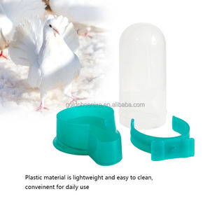 Accesorios para jaulas <span class=keywords><strong>de</strong></span> pájaros YYC, dispensador <span class=keywords><strong>de</strong></span> comida para <span class=keywords><strong>periquitos</strong></span> colgante, alimentador y <span class=keywords><strong>bebedero</strong></span> automático para palomas - Product Image 5