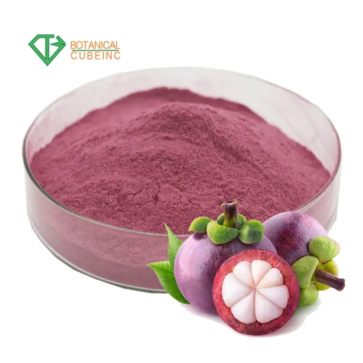 Mangosteen pericarp, polvo de extracto de mangosteen en polvo liofilizado