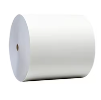 Papier Offset Couché PE Sans Bois en Pâte Vierge 55-120 GSM, Simple Face Non Couché, Résistant à l'Humidité, pour Impression de Bureau et Expositions