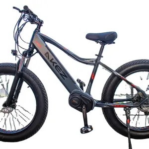 2022 North American Hot Sale Product Bafang Motor with high quality battery fat tire snow hunting electric fat bike
