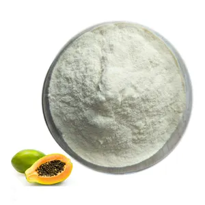 HerbSpirit 10 1 20 1 papaya leaf extract powder