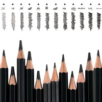 Ensemble de 12 crayons de croquis colorés, gamme de grades 8B-2H, crayons de dessin résistants aux bris, fournitures de croquis pour artistes en studio