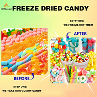 Oem Gummy Candy Freeze Dried Candy Factory Price