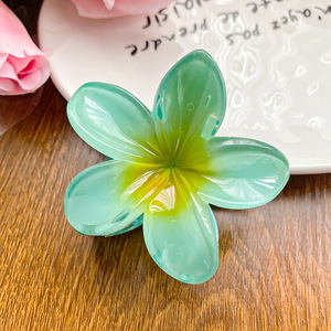 BLISSLIFE - Pinzas de Pelo con Flores Transparentes para Mujer, Accesorios para el Cabello, Pinzas de Pelo con Flores - Product Image 4
