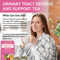 Sachets de tisane personnalisés D-mannose Canneberge Pissenlit racine Gingembre uti thé transparent thé UTI