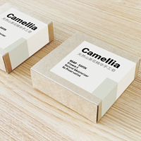 Bolsa de Regalo de Papel con Textura Cosmética de Lujo Personalizada, Caja de Embalaje para Alimentos, Etiquetas, Adhesivos con Logotipo