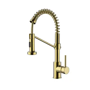 Modern HAIJUN Flexible Faucets Kitchen Sink Faucets Gold Brass Stainless Steel Pull Out Spring Torneira Gourmet Pull Down Golden