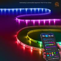 Bande lumineuse LED RVB personnalisée certifiée CB, application/télécommande, température de couleur 2700K-6000K, IRC 90, longueur 50m, efficacité 110lm/W