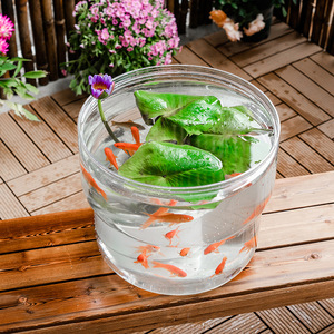 <span class=keywords><strong>Pot</strong></span> de fleurs rond <span class=keywords><strong>en</strong></span> résine P425, épaissi, transparent, auto-arrosant avec niveau d'eau visible, contrôle des racines, respirant, grand format - Product Image 3