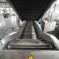 Machine à frire les chips de pommes de terre en continu automatique, en acier inoxydable SUS304, friteuse commerciale pour usine