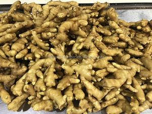 Nova Colheita Fresca Gengibre China Fornecedor Pacote Personalizado Alta Qualidade - Product Image 4