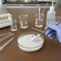 Additif lubrifiant à base d'érucamide en stock, faible MOQ pour le moulage par injection de PP/PE, érucamide (≥98%) avec expédition rapide